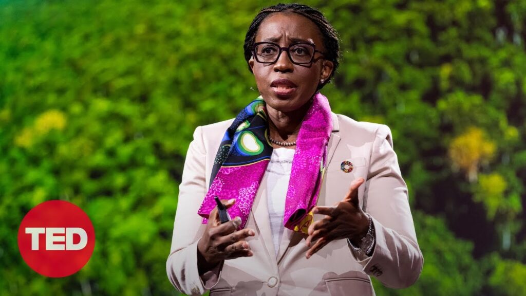 The African Swamp Protecting Earth's Environment | Vera Songwe | TED